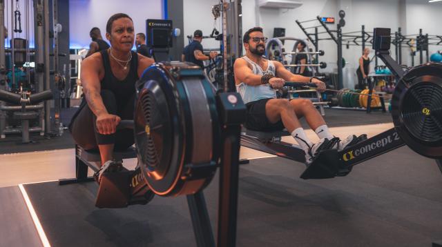 treino